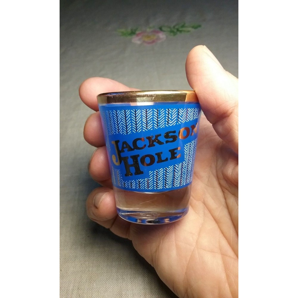 Vintage Jackson Hole Wyoming Shot Glass Weighted Bottom